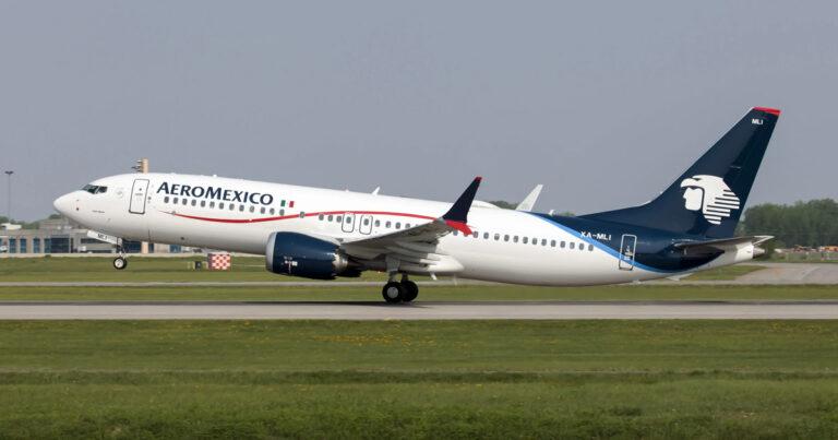 What is the Aeromexico pet policy?