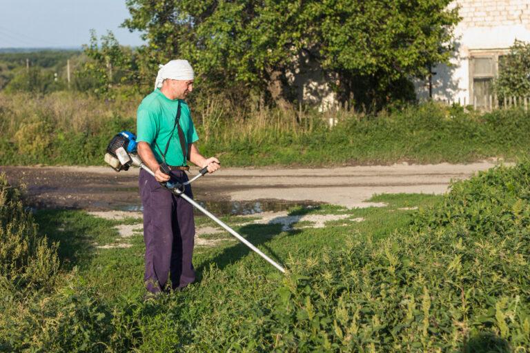 Lawn Clean Up Services: A Comprehensive Guide to Choosing the Best Lawn Treatment Service