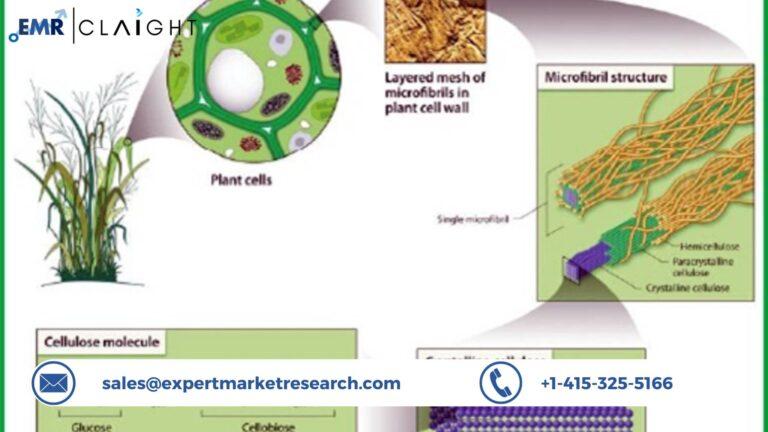Global Nanocellulose Market Size, Share, Report, Trends, Growth, Key Players, Forecast 2024-2032