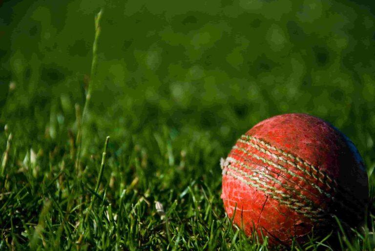 Mohammad Shami: A Cricketing Journey Marked by Resilience and Skill