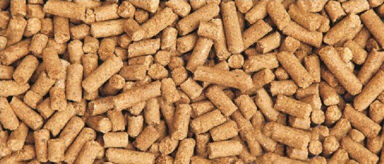 Cattle Feed Manufacturing Project Report: Plant Cost, Manufacturing Process, Business Plan, Machinery Requirement, Material Cost