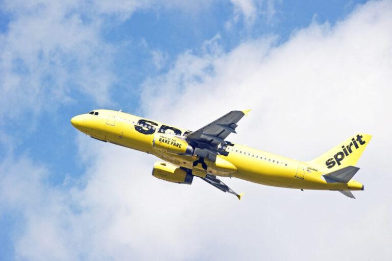What is the Seat Selection Fee for Spirit Airlines