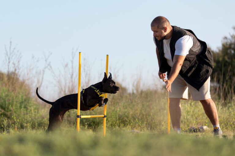 Where to Buy a Well-Trained Dog in Las Vegas