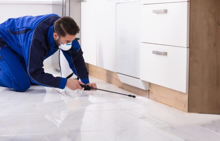 Opening the Secrets of Effective Rodent Control Near Me A Comprehensive Guide