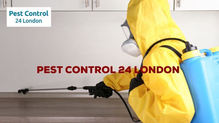 If you need pest control in London, we can help.