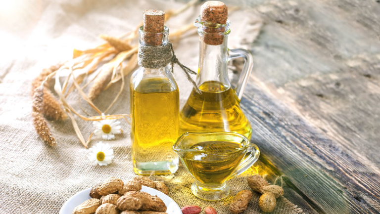 Groundnut Oil Manufacturing Plant 2024: Project Report, Business Plan, Raw Materials, Necessary Equipment, and Cost Analysis