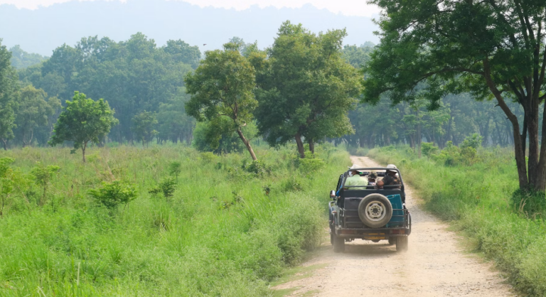 Explore the Wild Side of Uttarakhand: A Guide to National Parks